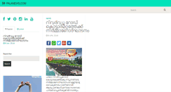 Desktop Screenshot of palanews.com